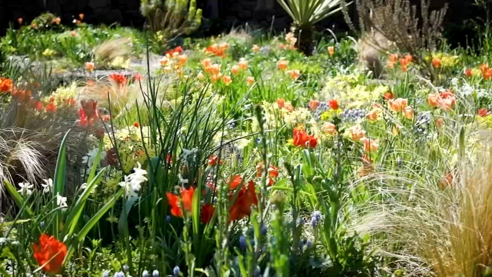 Greater Philadelphia region named as ‘America’s Garden Capital’