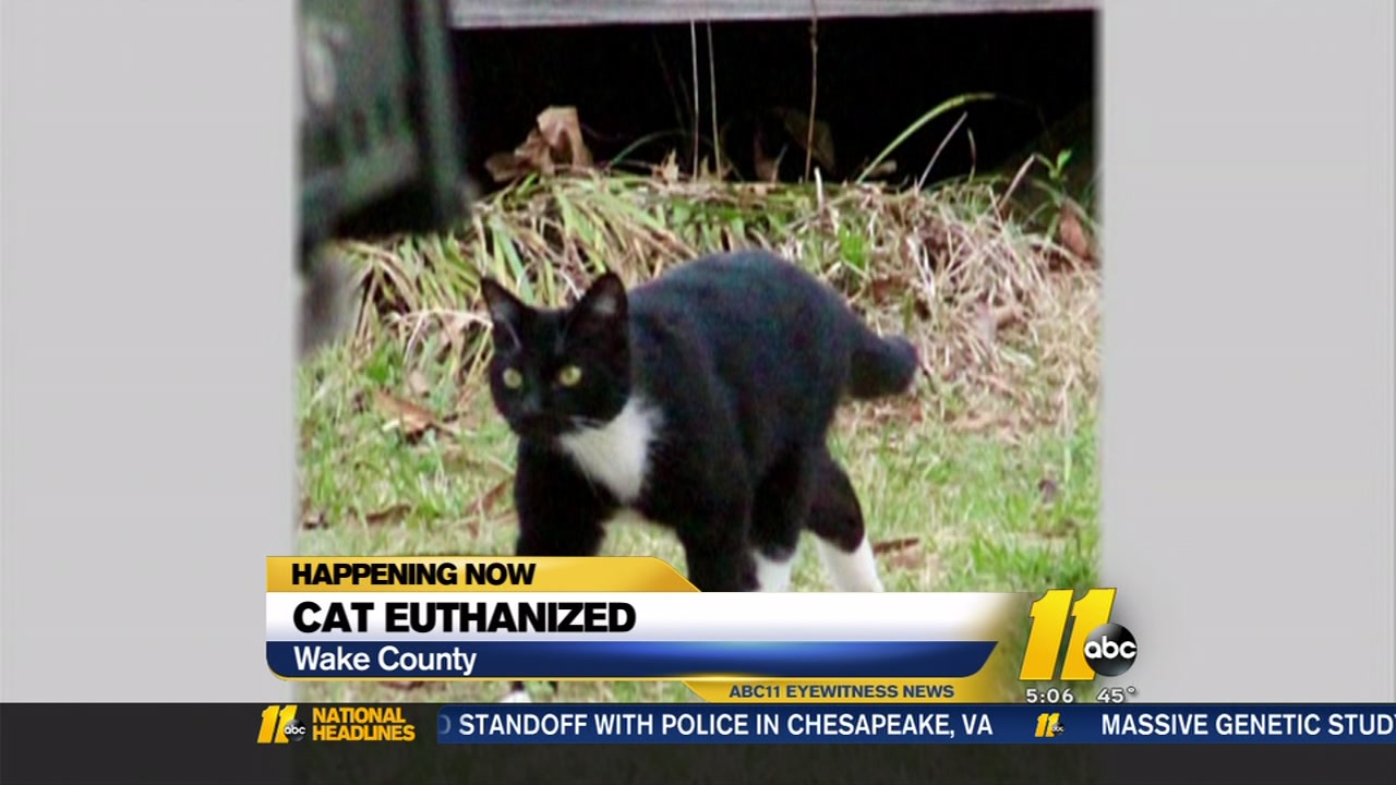 Pet euthanized