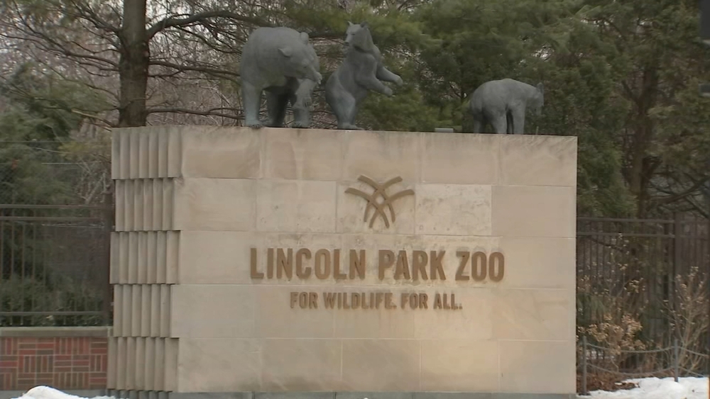 Lincoln Park Zoo center for apes director dead at 52