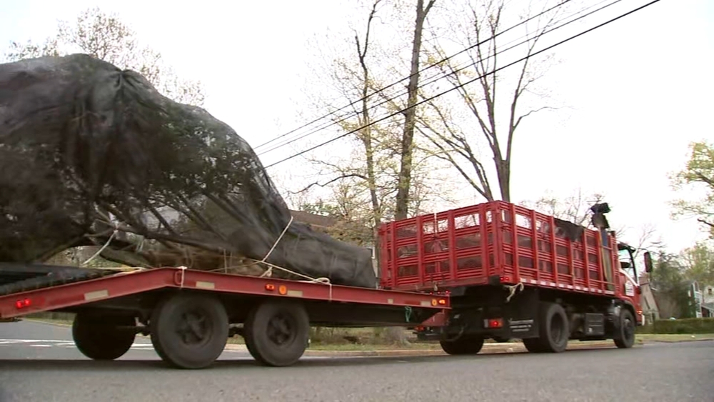 New trees for South Jersey community months after tornado