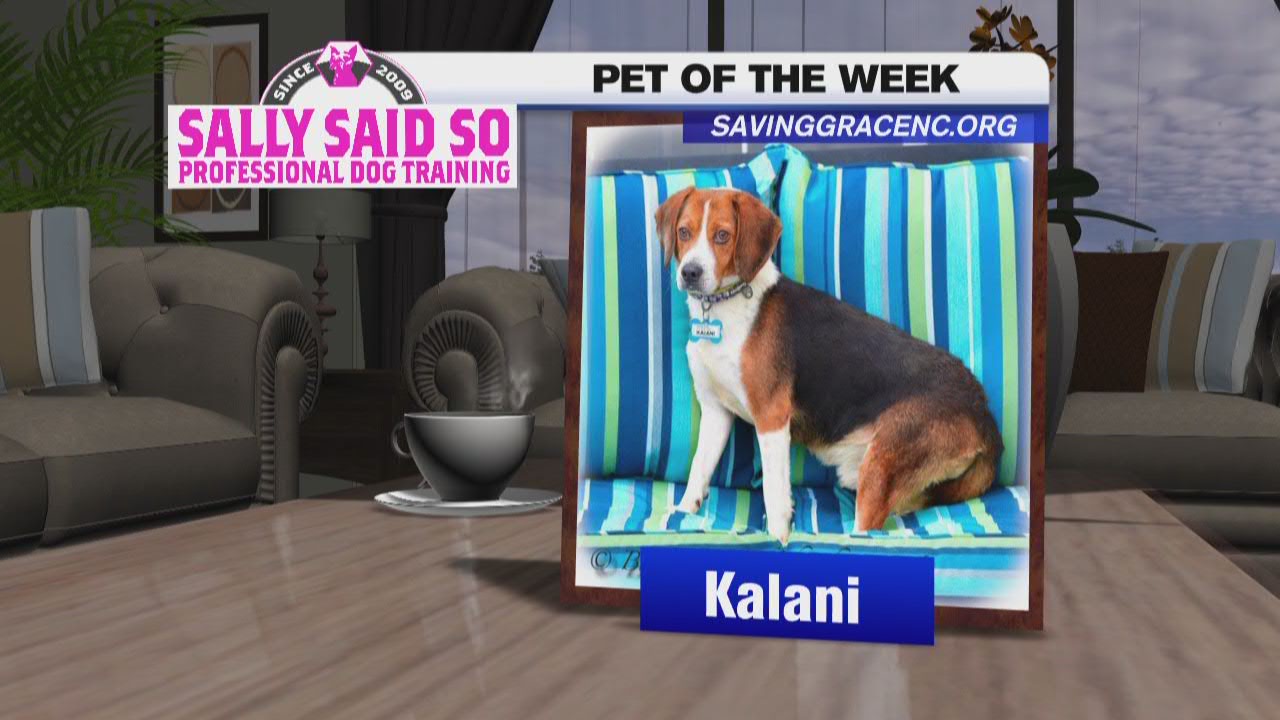 Pet of the Week: April 26, 2022, Kalani
