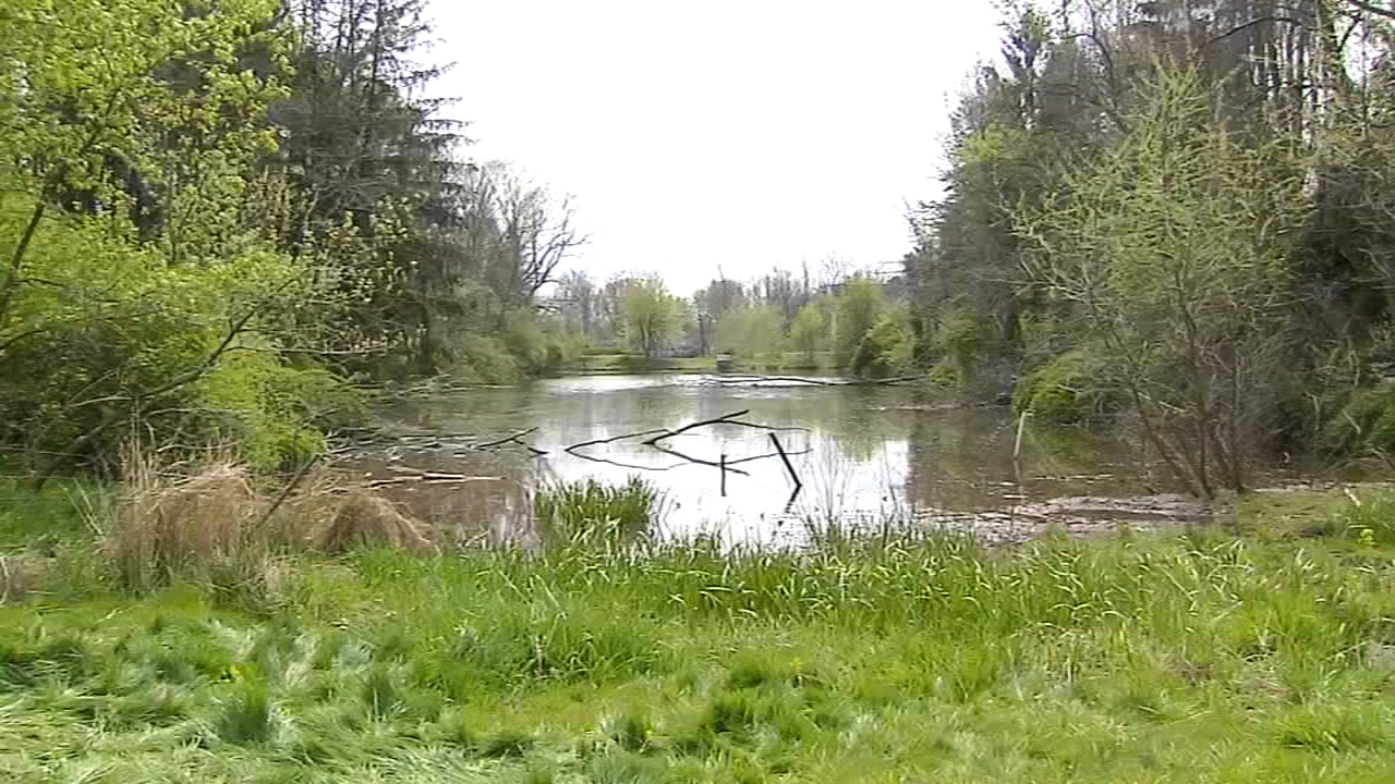 Human skull found near pond in Amity Township, police say