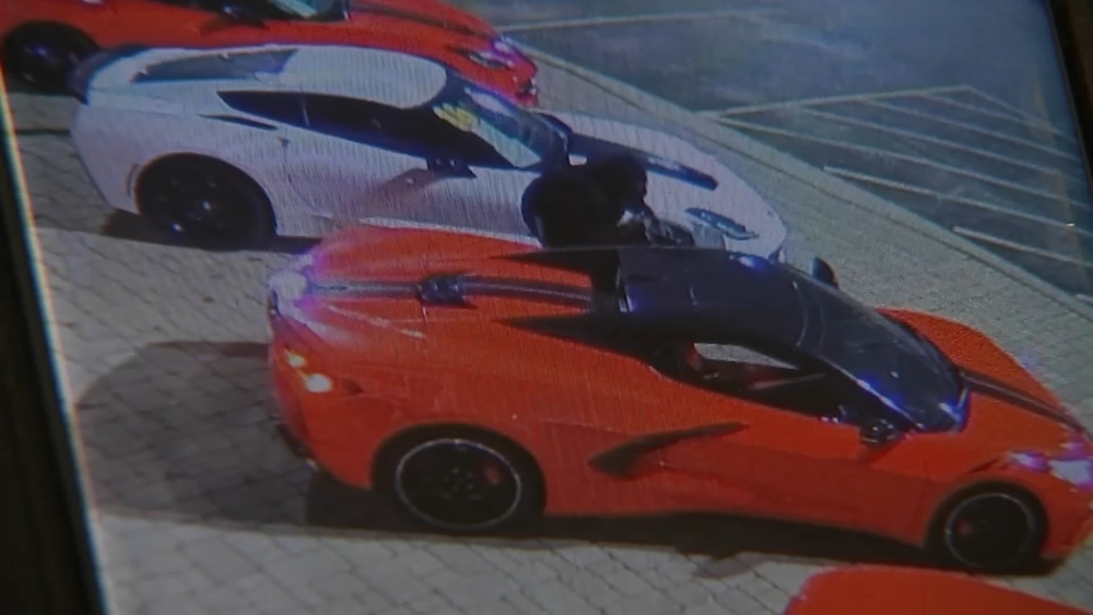 Surveillance video shows brazen car thefts from suburban dealerships
