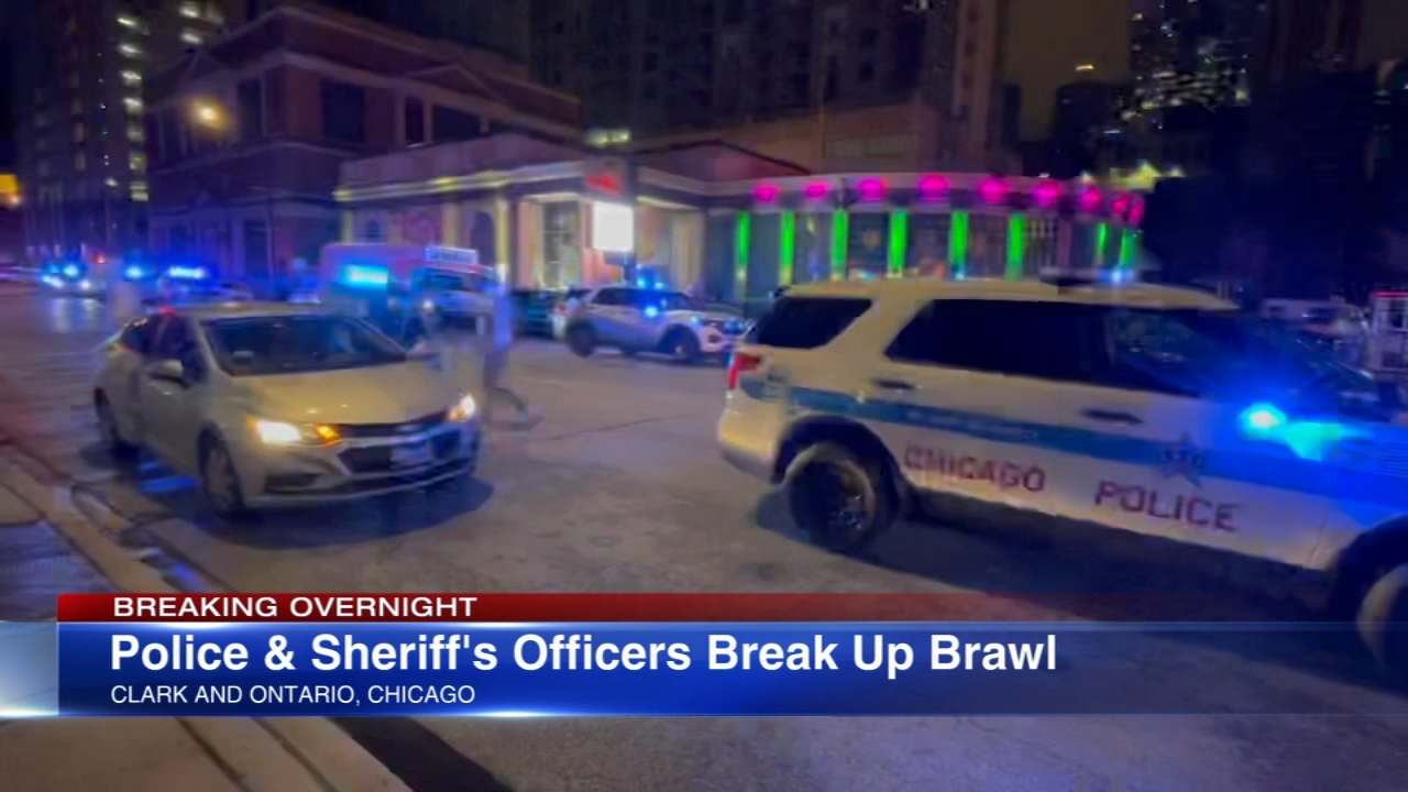 1 in custody after River North brawl