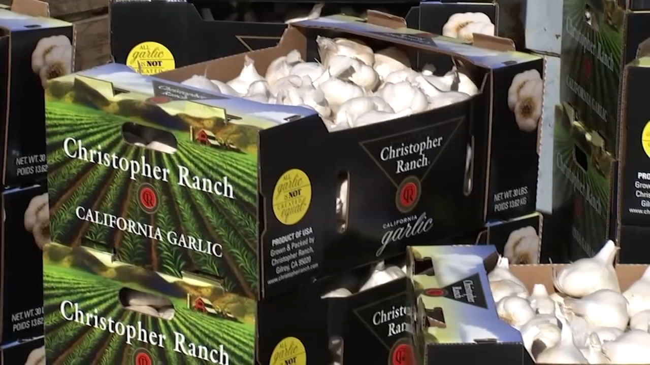 Group moves forward with plans to host garlic festival in Stockton