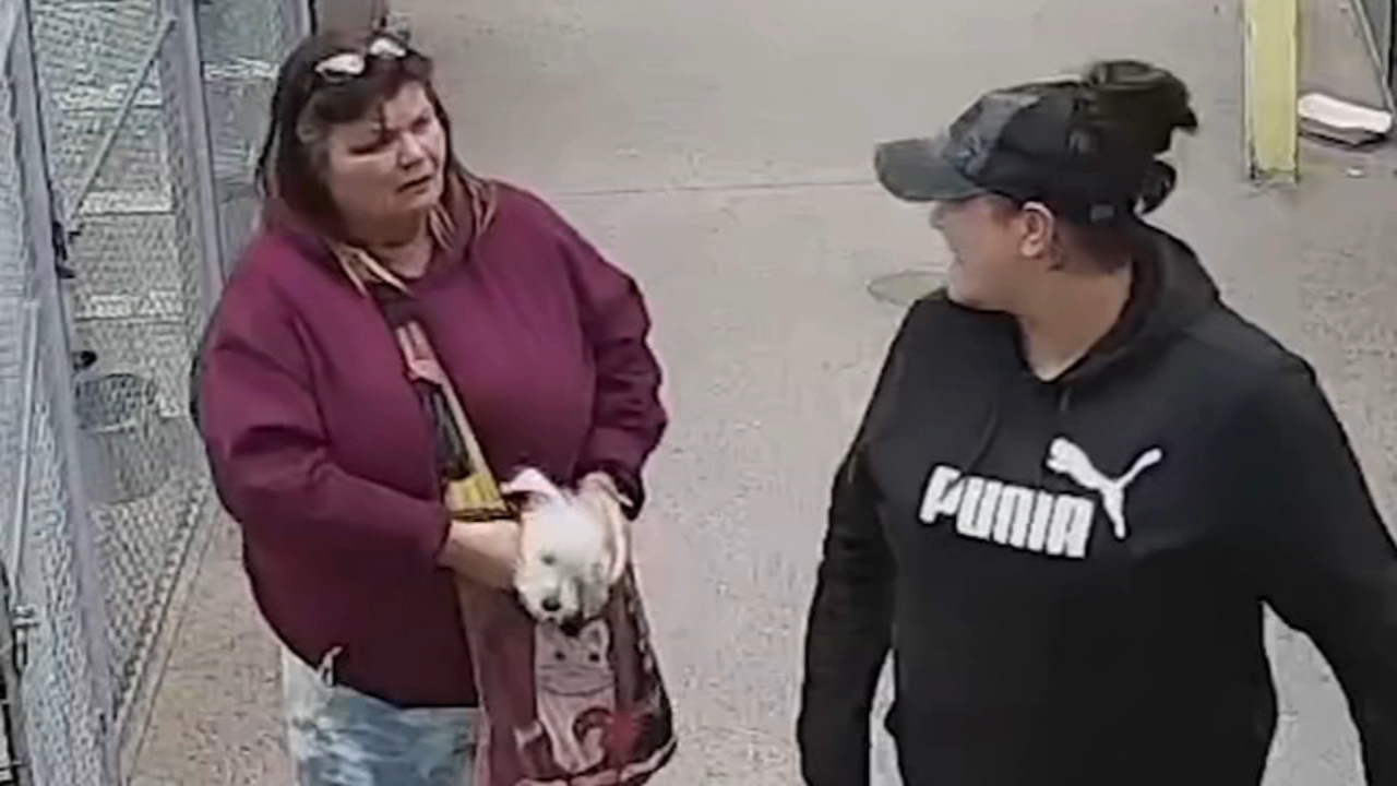 2 arrested after puppy stolen from PSPCA