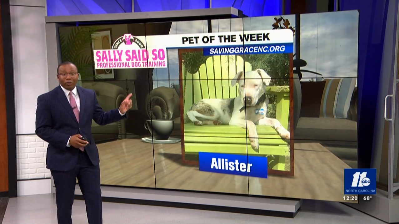 Pet of the Week: May 10, 2022, Allister