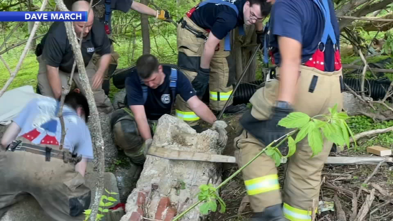 Dog chasing groundhog gets stuck under concrete in Chester Co.