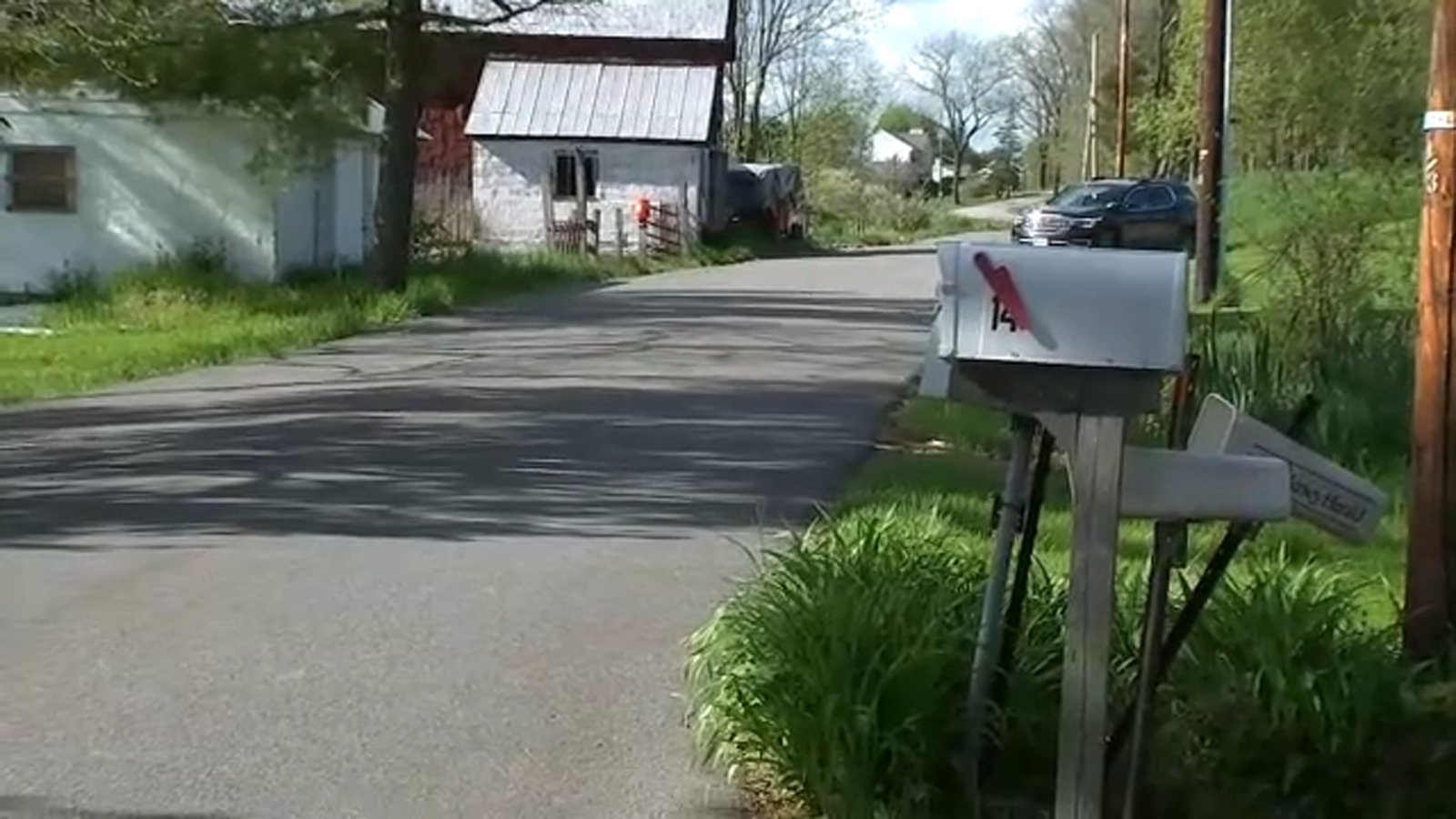 New Jersey bear attack Woman mauled by a bear on Gorney Road in