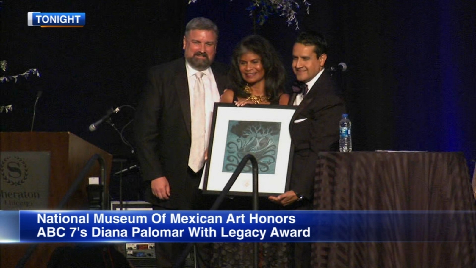 National Museum of Mexican Art honors ABC7 VP of Community Affairs Diana Palomar with Legacy Award