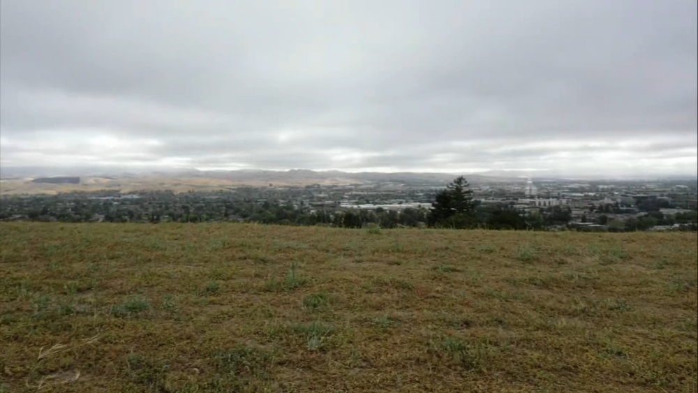 East Bay firefighters cancel prescribed burn due to windy conditions
