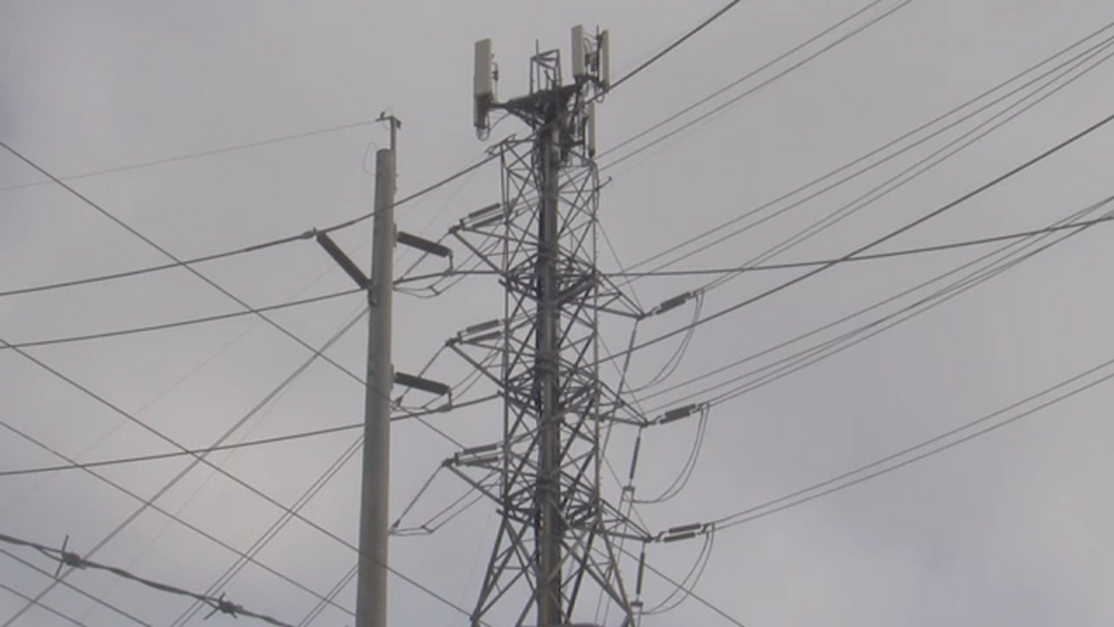 'Grid is more reliable than it has ever been before' officials say
