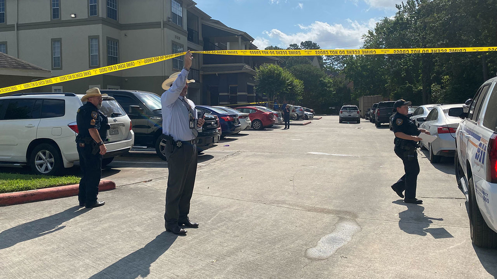 Girl under 10 years old among 4 dead in apparent murder-suicide