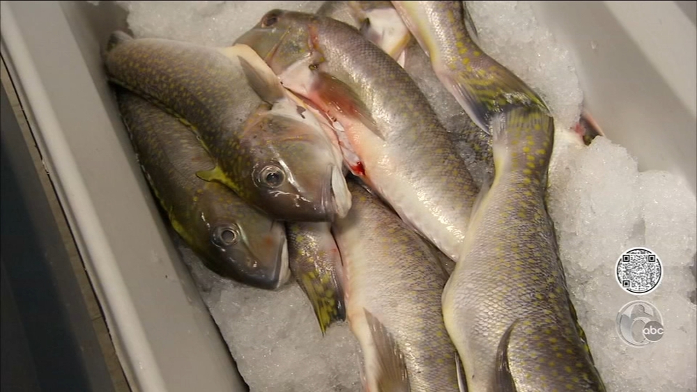 Fishadelphia offers fresh catch from the shore to the city