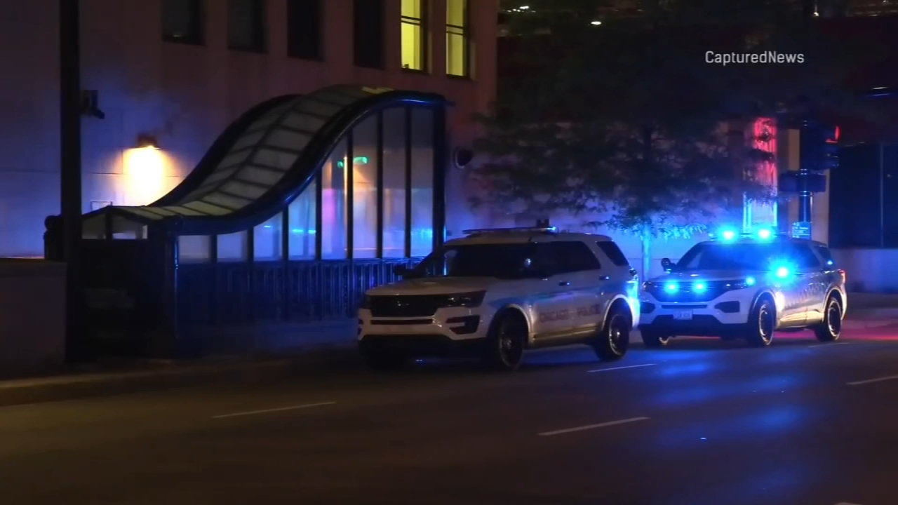 Man fatally stabbed on train between downtown Blue Line stops