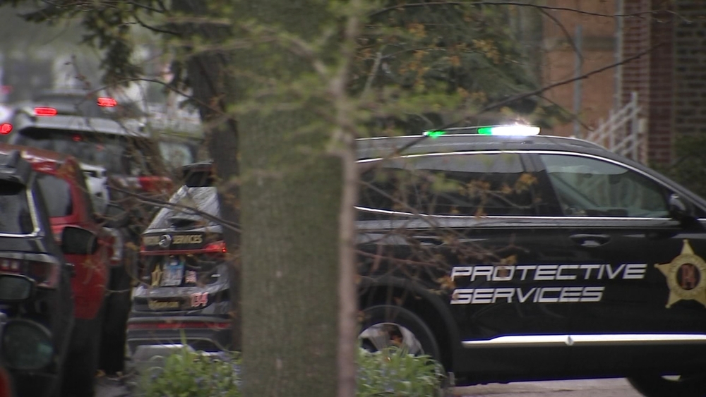 More Chicago neighborhoods, businesses want private security