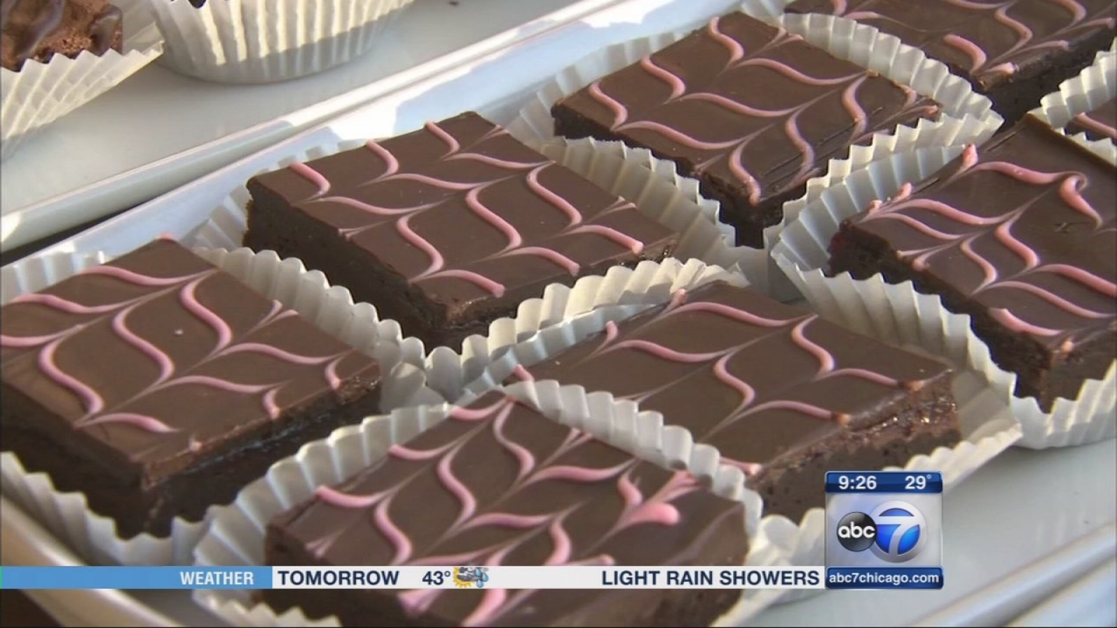Morton Arboretum hosts Chocolate Expo ABC7 Chicago