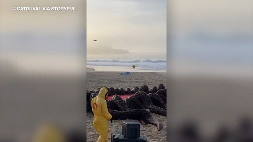 'Stranger Things' installation draws crowd to beach