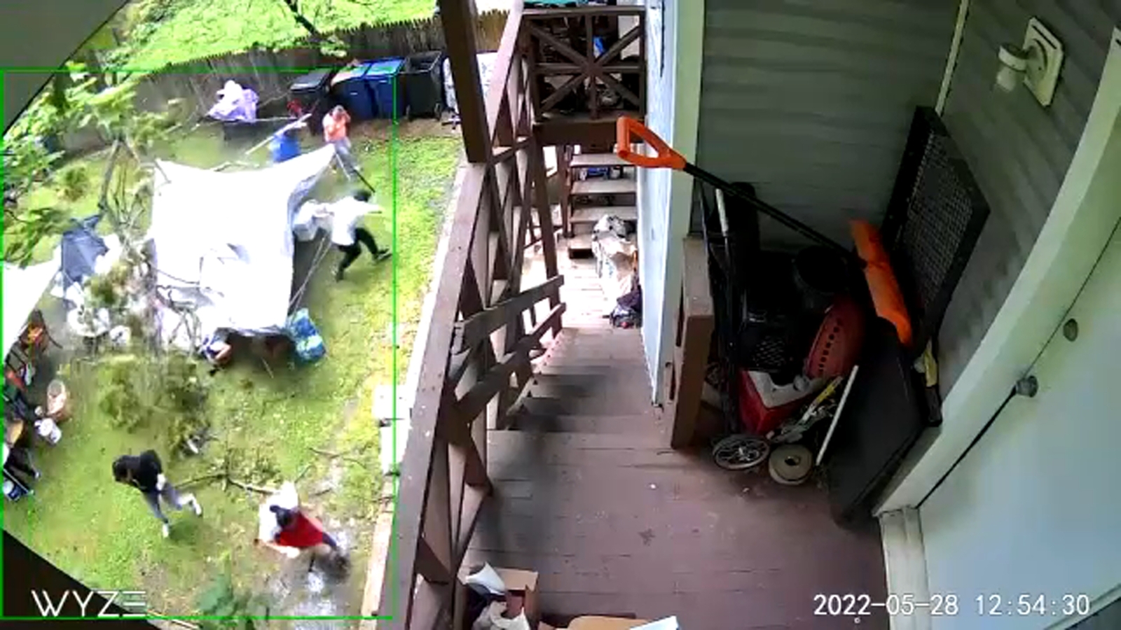 Family runs for cover after tree crashes down on backyard tent in