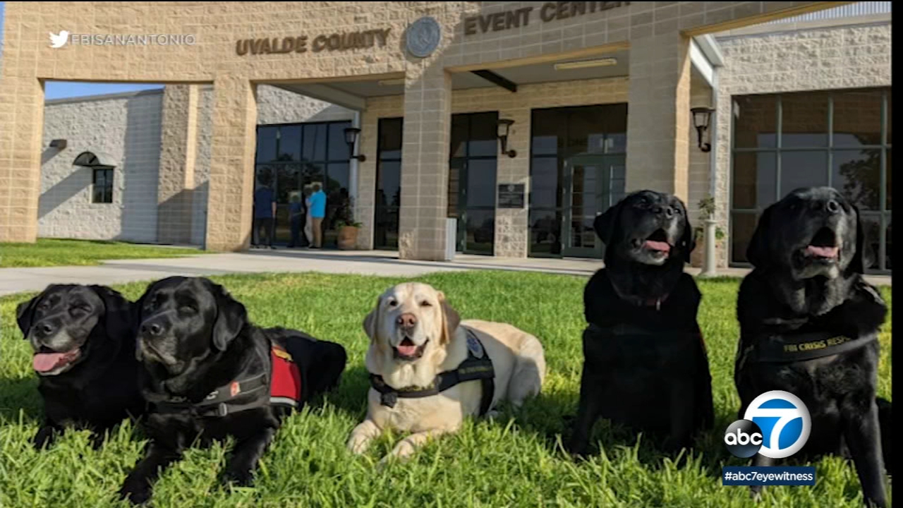 San Bernardino K-9 dogs helping families of victims in Texas shooting