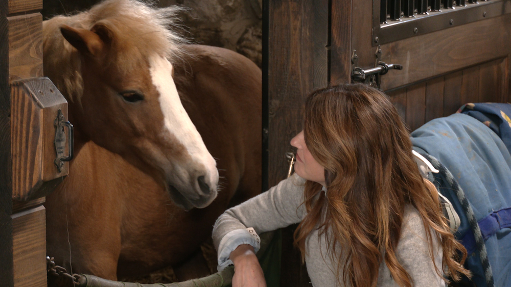 Horses at Gateway HorseWorks are helping people heal from trauma