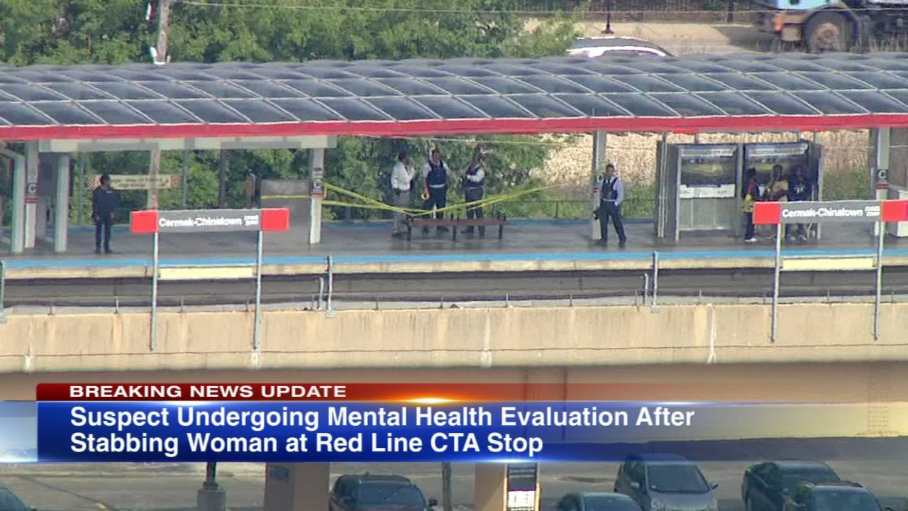 Same suspect attacked 3 women at 2 CTA stops Wednesday: CPD