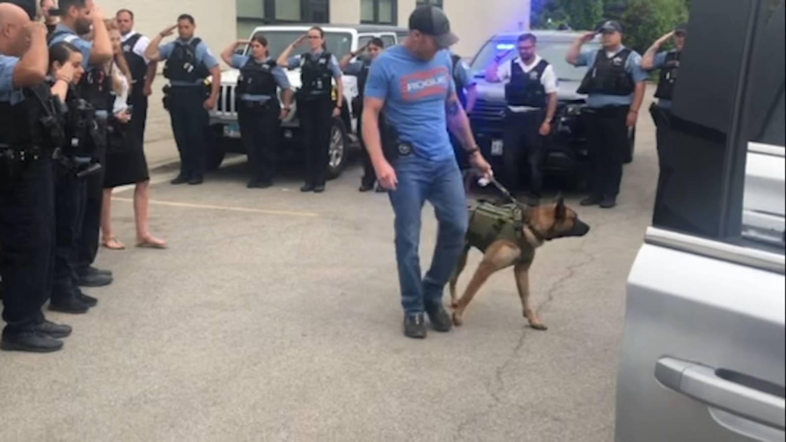 Chicago shooting today: K-9 dog out of hospital, no bail for Tarrion