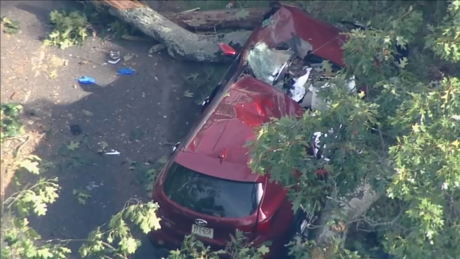 Woman killed after car crushed by tree branch in Burlington County ...