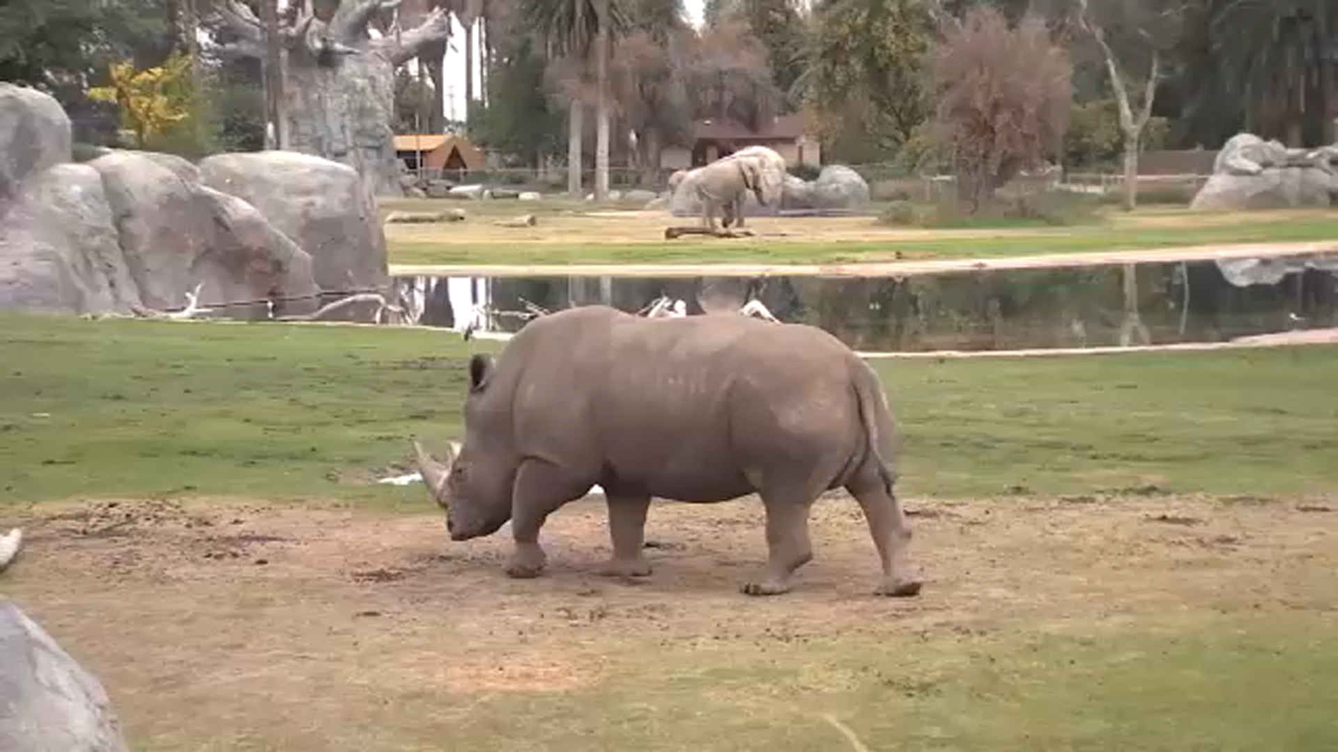 84% vote 'Yes' on extending sales tax for Fresno zoo improvements