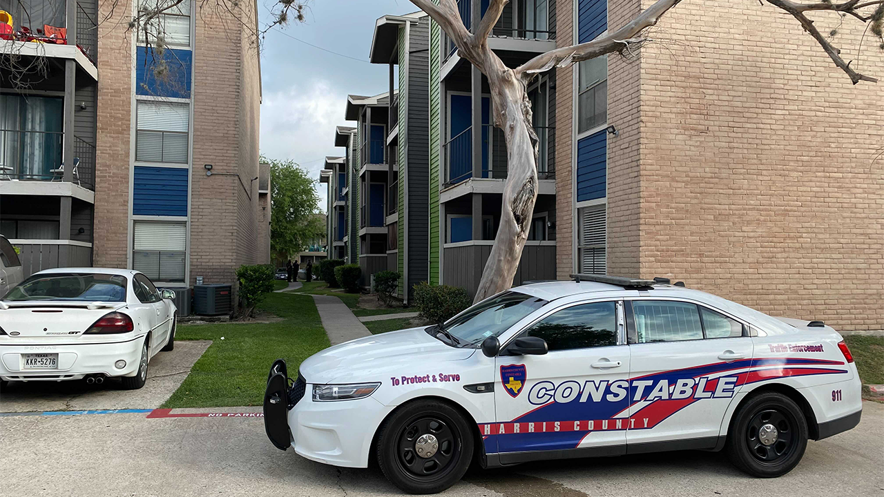 Child heard shot that killed her aunt in apparent murder-suicide: HCSO