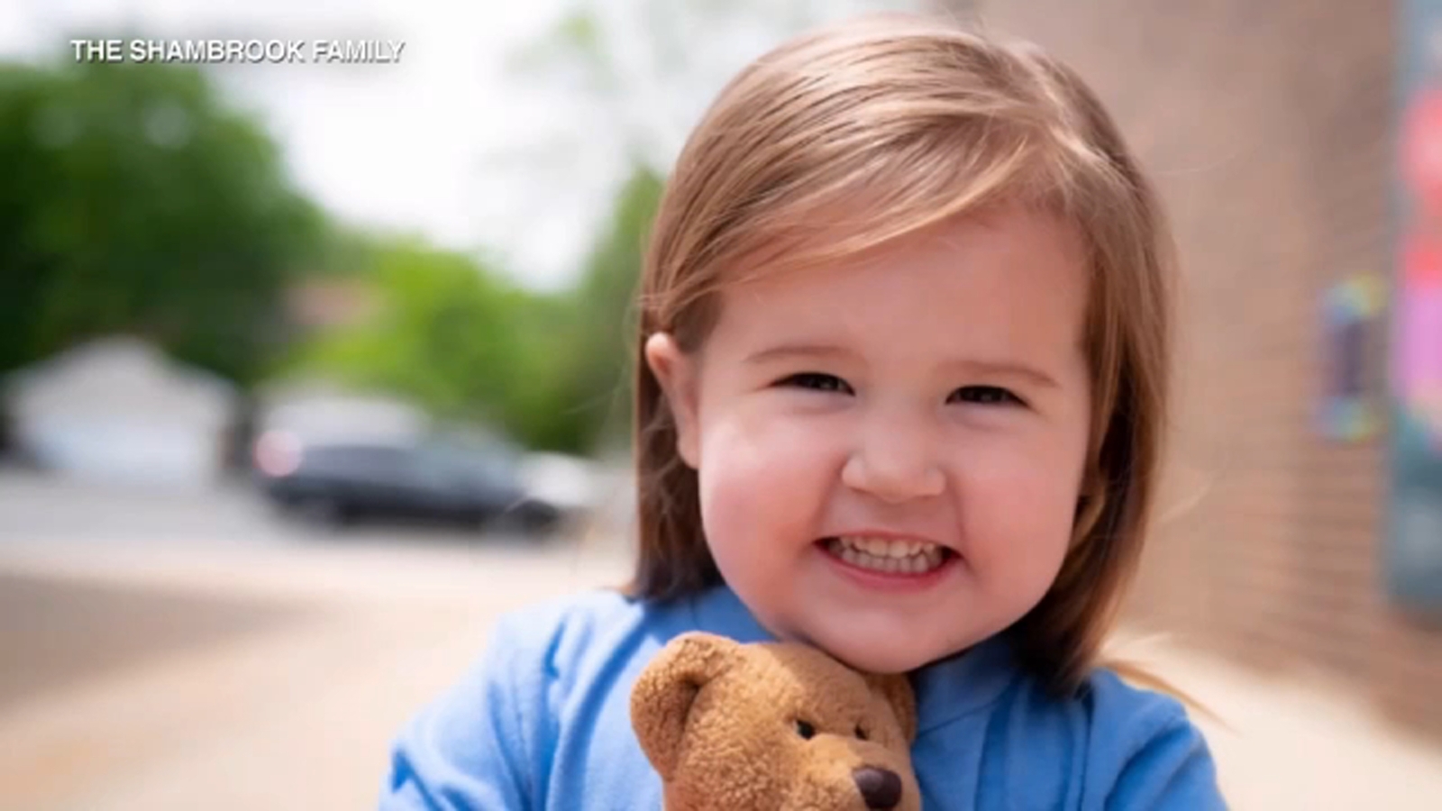 Bike accident Chicago Elizabeth Grace Shambrook killed in crash on