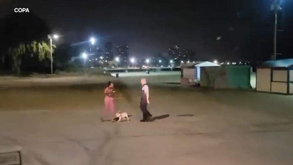 Chicago cop who struggled with Black woman on beach resigns