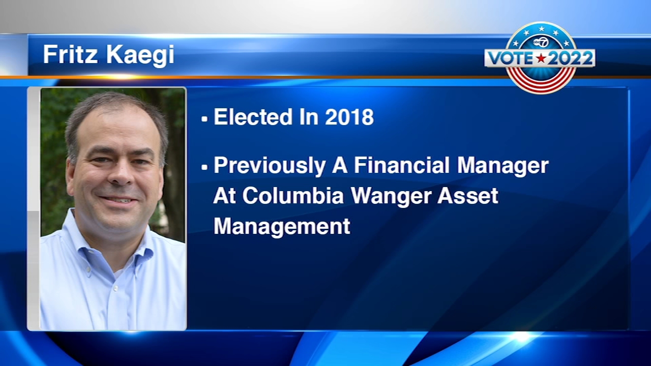 Cook County, Illinois assessor election 2022 Democratic candidates