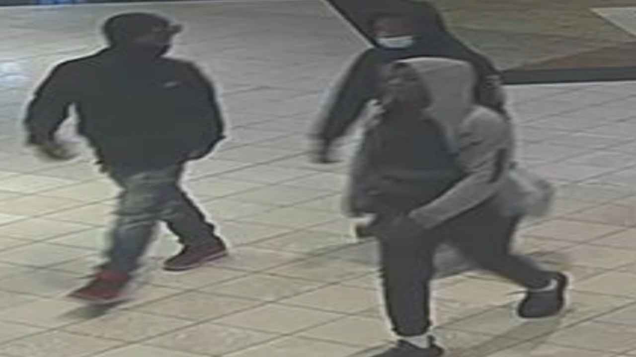 3 wanted for trying to steal women's purses outside KOP Mall: Police