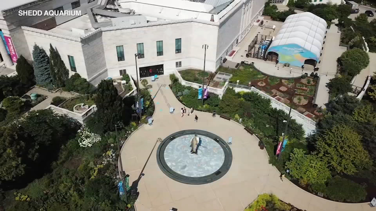 Shedd Aquarium to get facelift after renovation plan approved by city