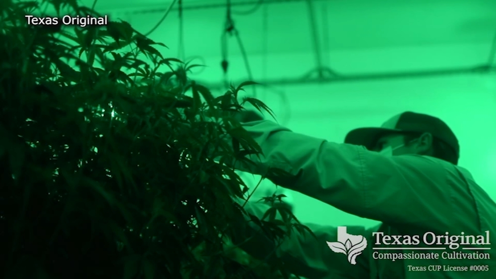Houston's 1st permanent medical marijuana pickup location opens
