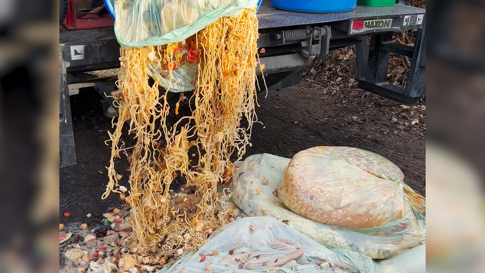 Moonshot Compost turns your food waste into nutrient-rich compost.