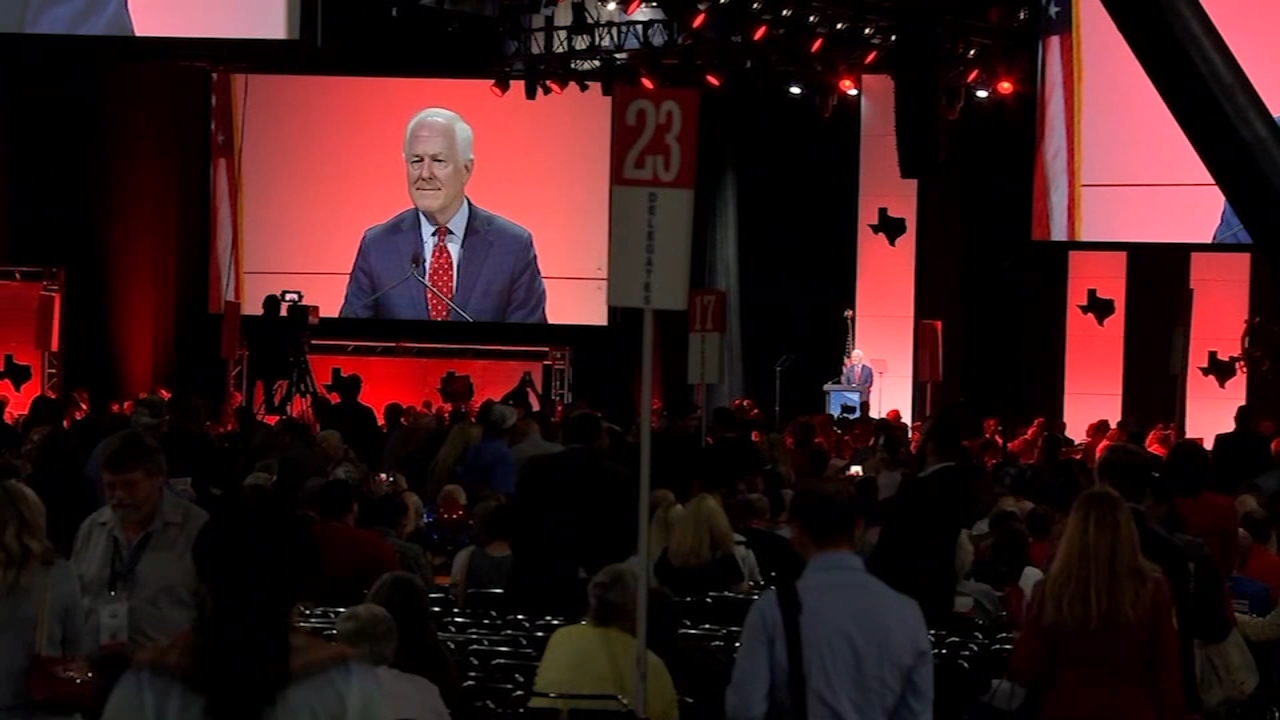 A look at state of Texas GOP as new party platform faces criticism