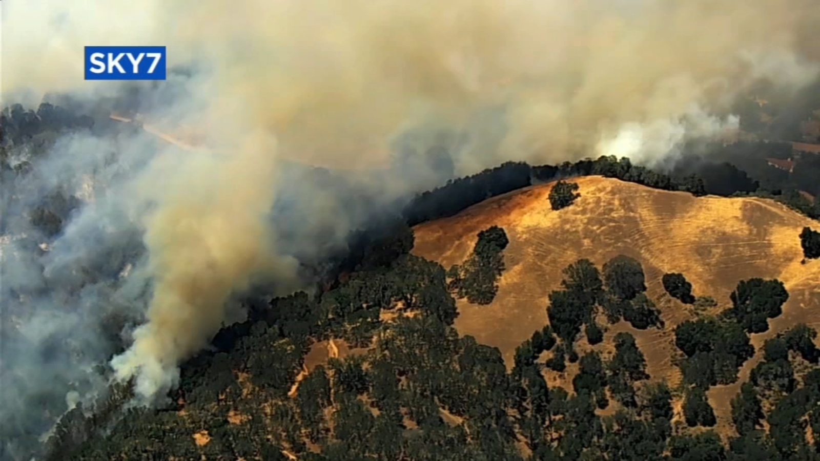 Pleasanton Ridge fire Firefighters respond to wildfire burning near