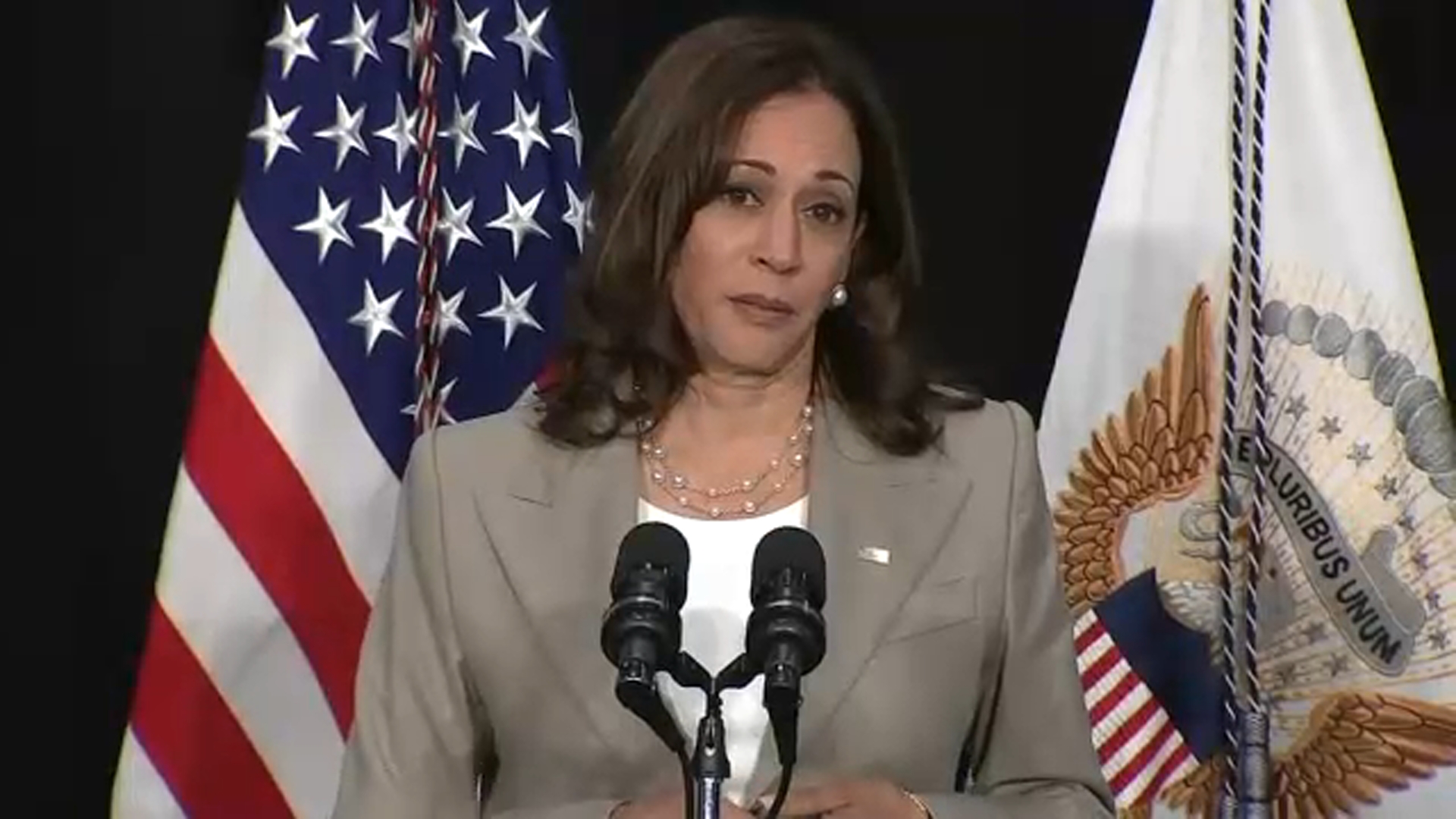 Vice President Kamala Harris in Chicago area Friday, addresses abortion ruling in Plainfield speech