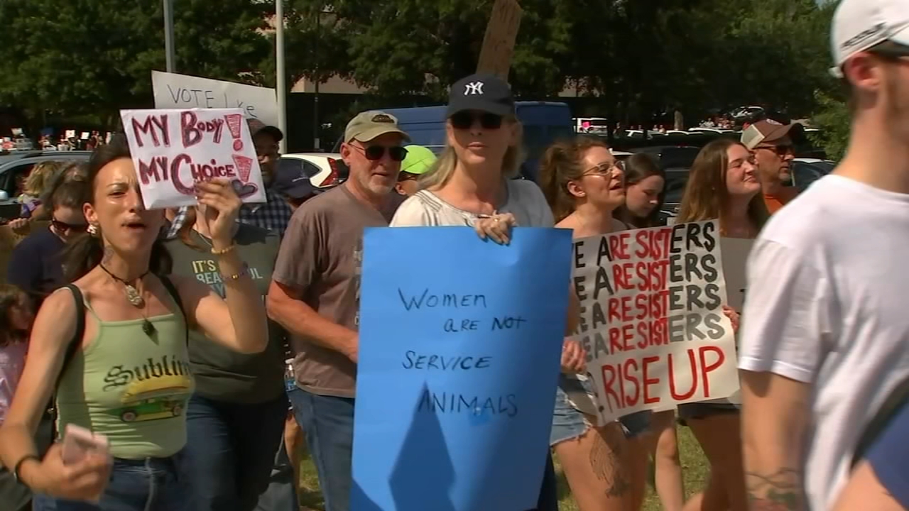 Abortion rights supporters lead protest in Cary
