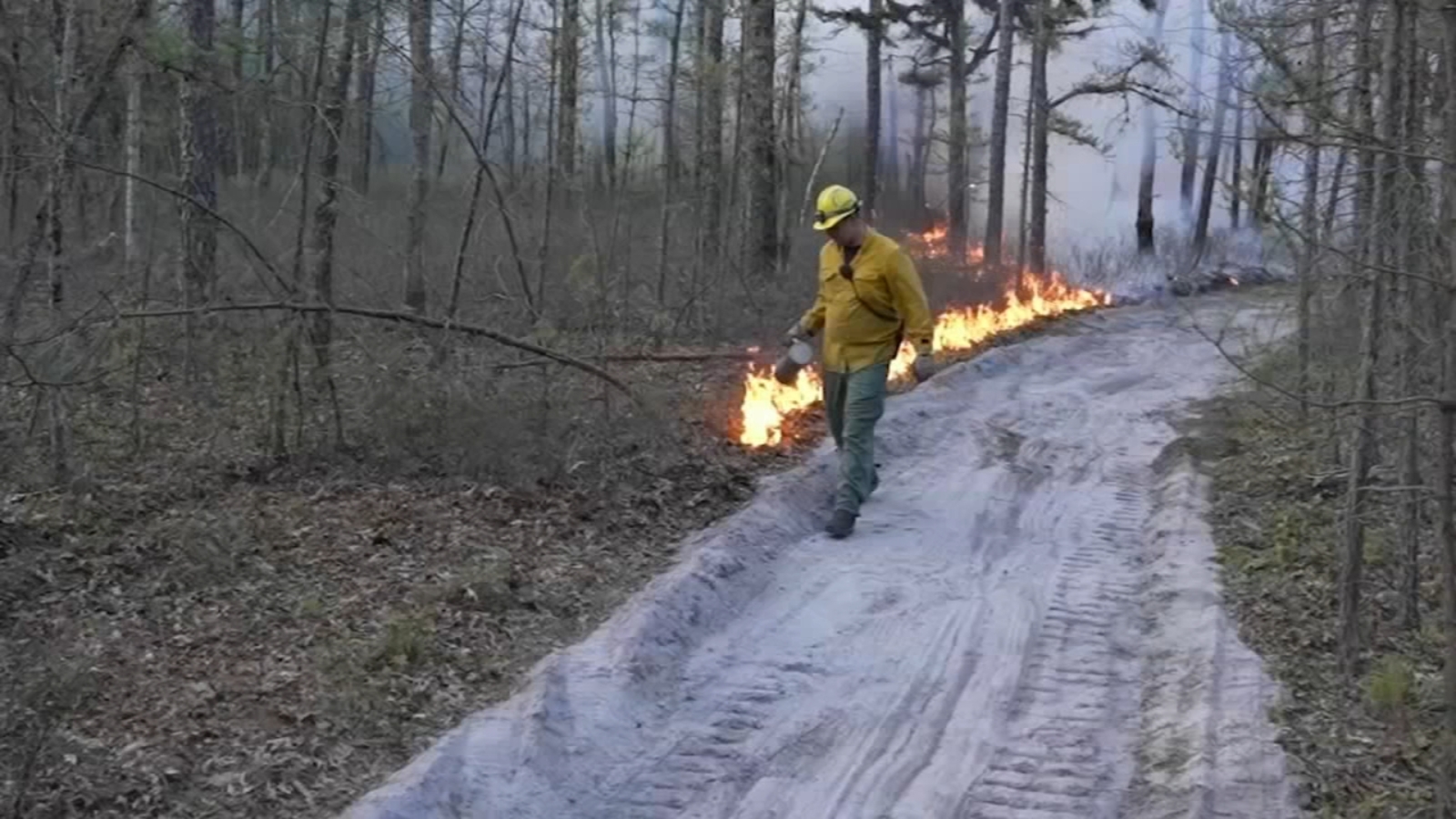Brendan T. Byrne State Forest fire Wildfire in Manchester Township