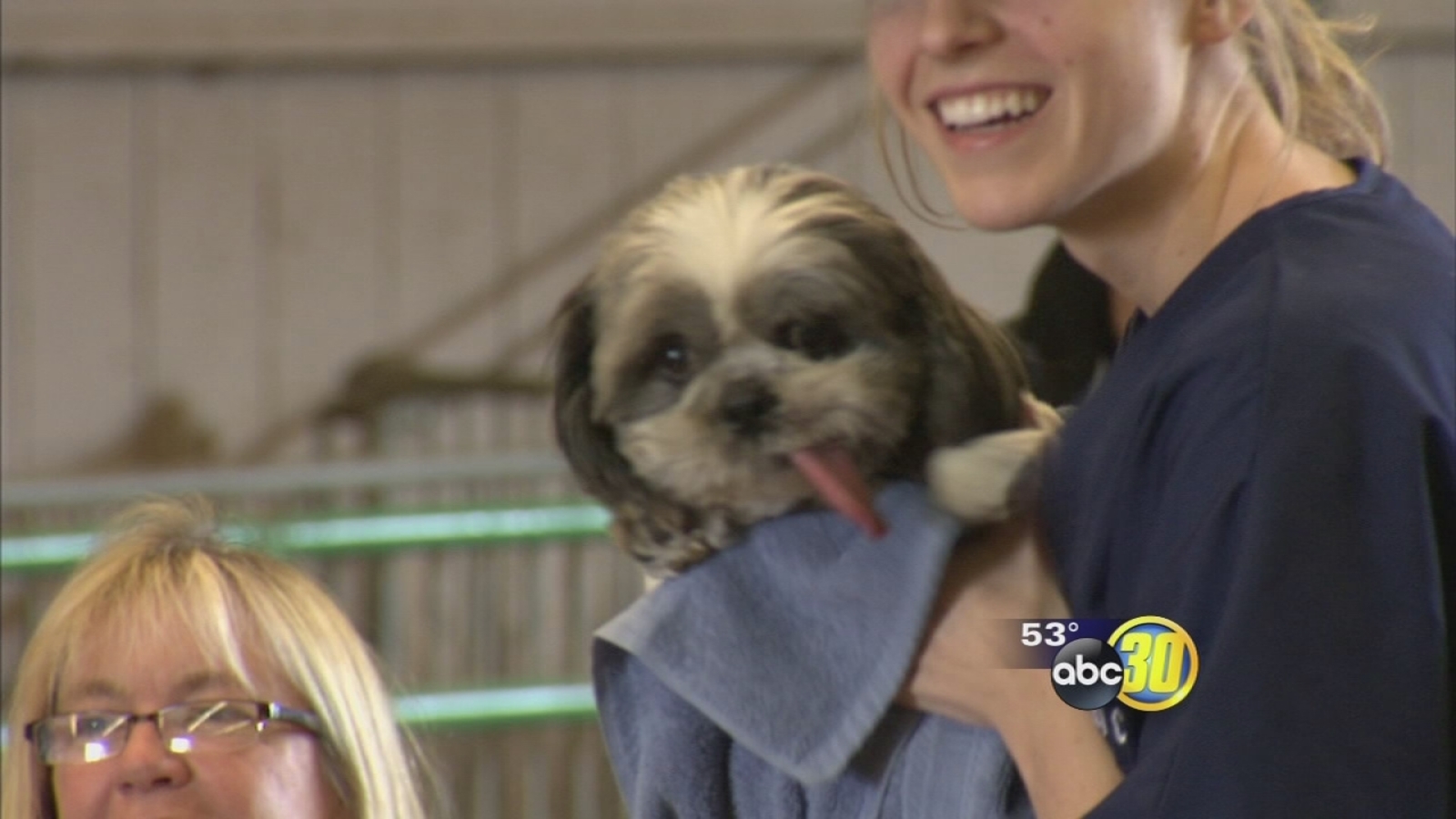Fresno State vet club spends day treating dogs ABC30 Fresno