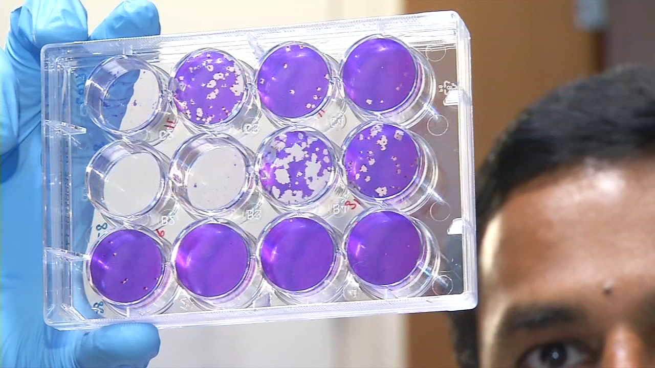 Omicron subvariants BA.4, BA.5 'are taking off like wildfire'