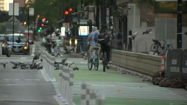 Chicago adding concrete barriers to protected bike lanes