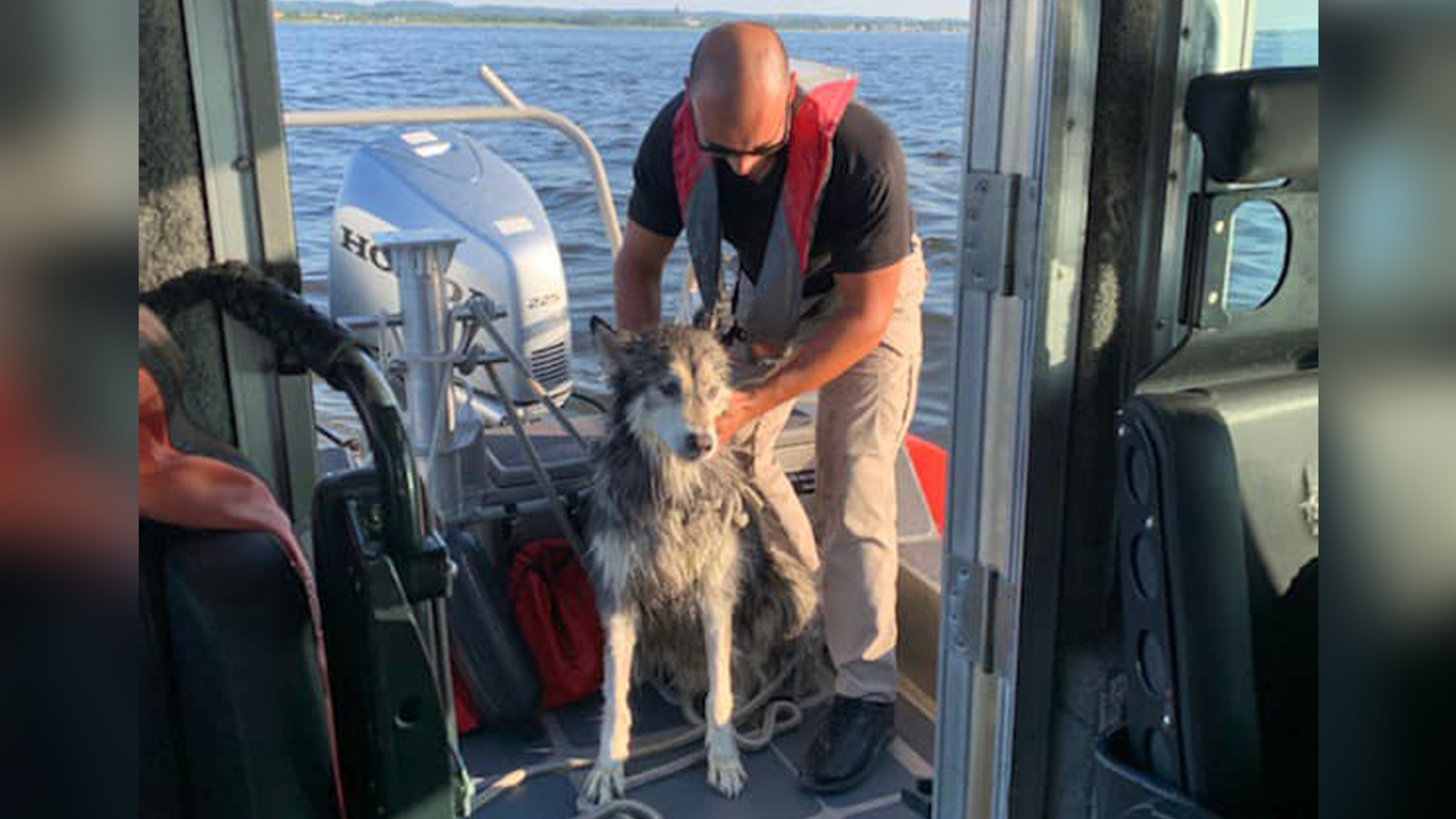 Dog rescued from water after swimming 1.5 miles off Union Beach, New