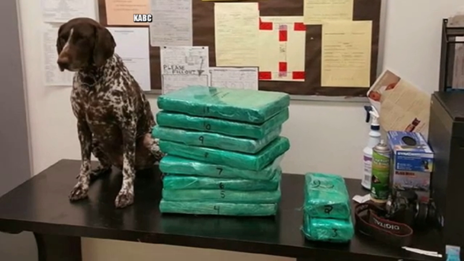 LAX cocaine smuggling case Convicted drug dealer sentenced to more