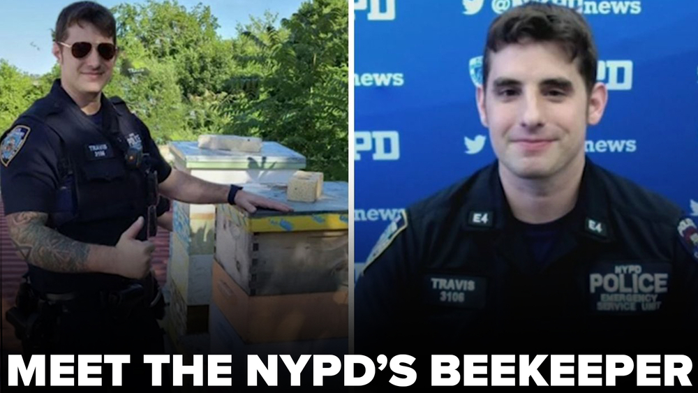 Weather or Not: Meet the NYPD's beekeeper 