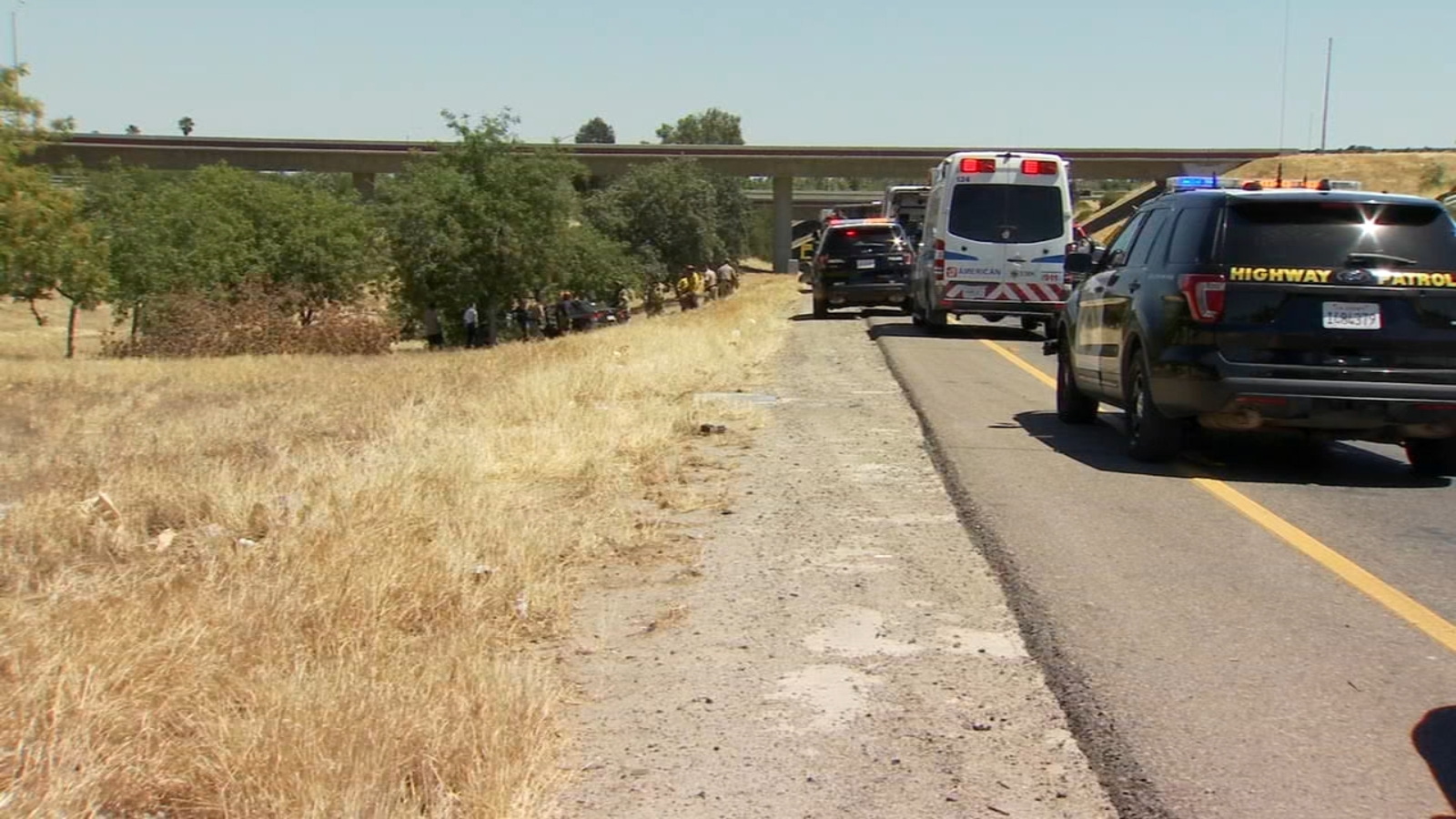 4 injured after driver slams into tree at Highway 99 & 180 interchange