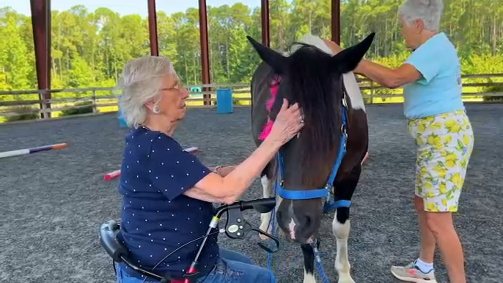 Silver Saddles connects seniors with horses